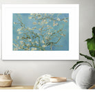 Almond Blossoms  by Vincent van Gogh on GIANT ART - masters masters