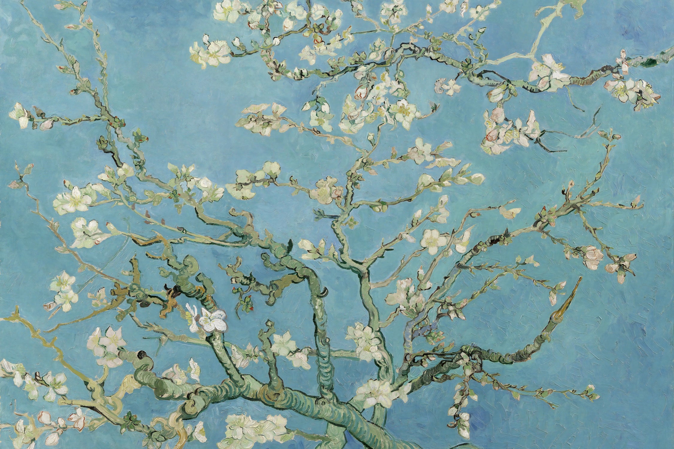 Almond Blossoms  by Vincent van Gogh on GIANT ART - masters masters