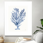 Shibori Coral IV by Mary Urban on GIANT ART - blue