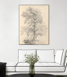 Tree Sketch by Wild Apple Portfolio on GIANT ART - abstract