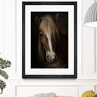 Sapience by Martine on GIANT ART - animals haflinger