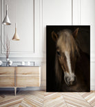 Sapience by Martine on GIANT ART - animals haflinger