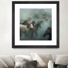 lost horses by Huseyin on GIANT ART - animals horses