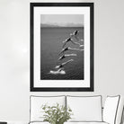 The beauty of diving by Greetje on GIANT ART - black and white  photography quick