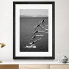 The beauty of diving by Greetje on GIANT ART - black and white  photography quick