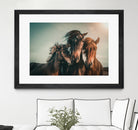 Family portrait by Marcus Hennen on GIANT ART - friendship animal friendship