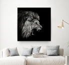 Roaring Lion #2 by Christian Meermann on GIANT ART - feline animal feline