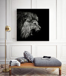 Roaring Lion #2 by Christian Meermann on GIANT ART - feline animal feline