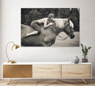 Off to the Races by JAE on GIANT ART - photography portrait