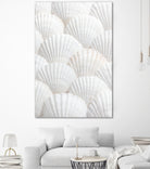 Shells_3 by Pictufy Studio III on GIANT ART - photography shells