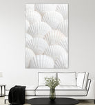 Shells_3 by Pictufy Studio III on GIANT ART - photography shells