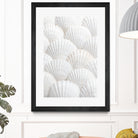 Shells_3 by Pictufy Studio III on GIANT ART - photography shells