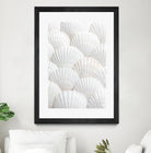 Shells_3 by Pictufy Studio III on GIANT ART - photography shells