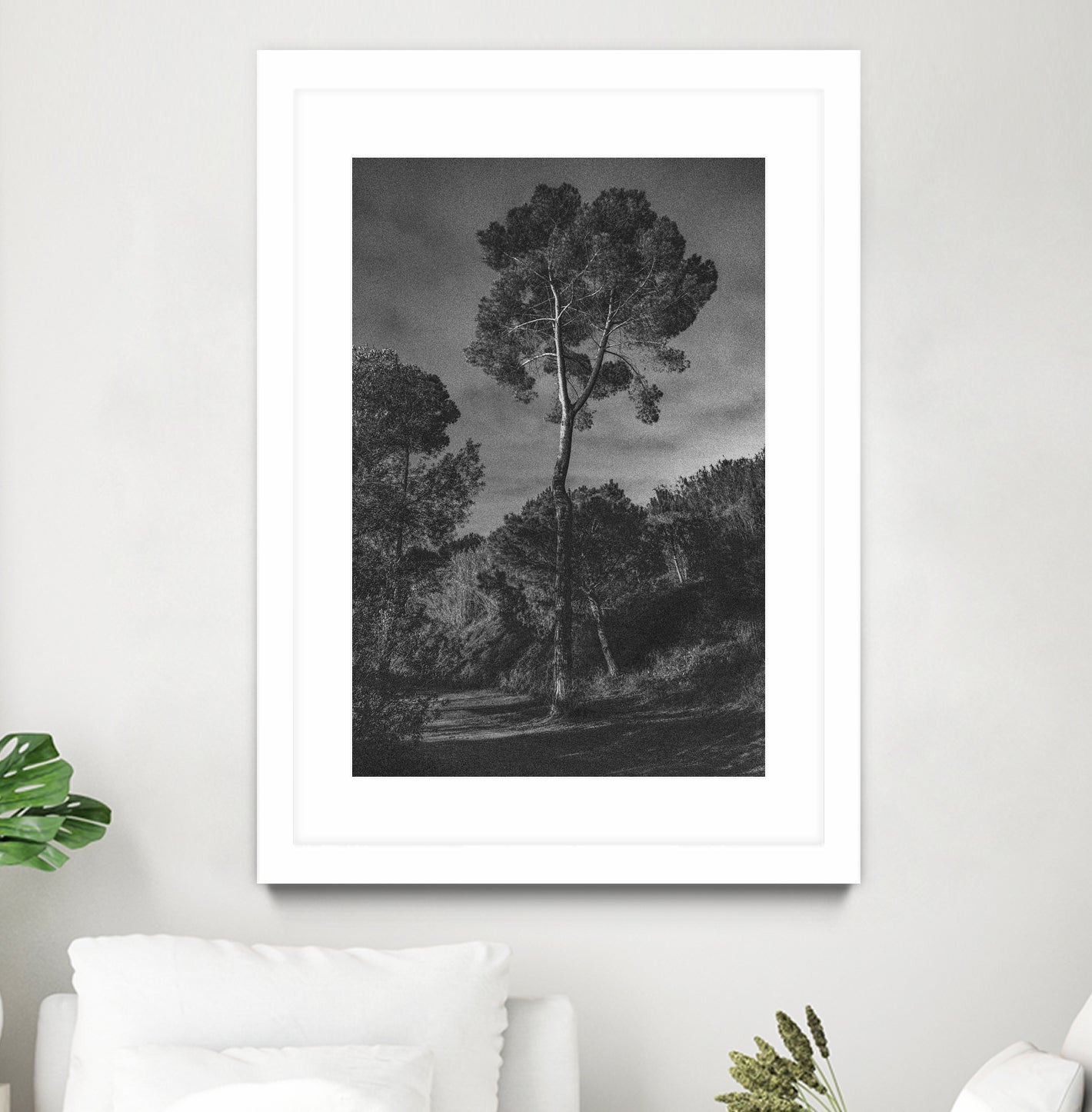 Arbores  by Pepa on GIANT ART - black botanical framed canvas