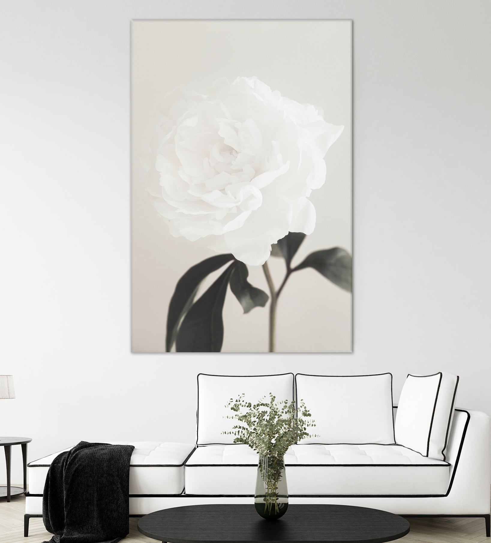 Peony 03 by Pictufy Studio III on GIANT ART - still life flower
