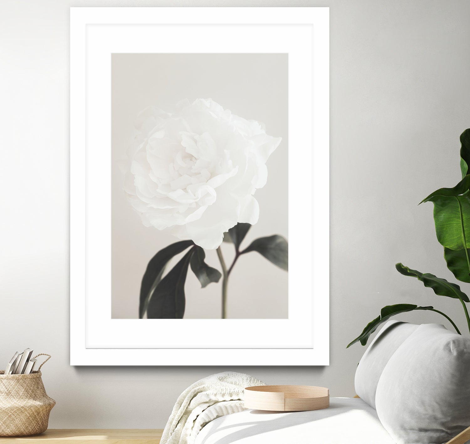 Peony 03 by Pictufy Studio III on GIANT ART - still life flower