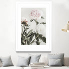 Peony 04 by Pictufy on GIANT ART - still life flower