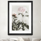 Peony 04 by Pictufy on GIANT ART - still life flower