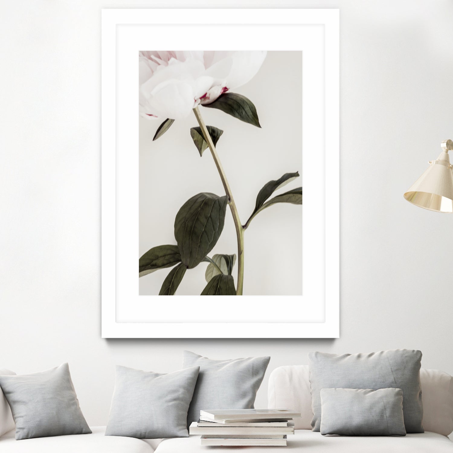 Peony 09 by Pictufy on GIANT ART - still life flower