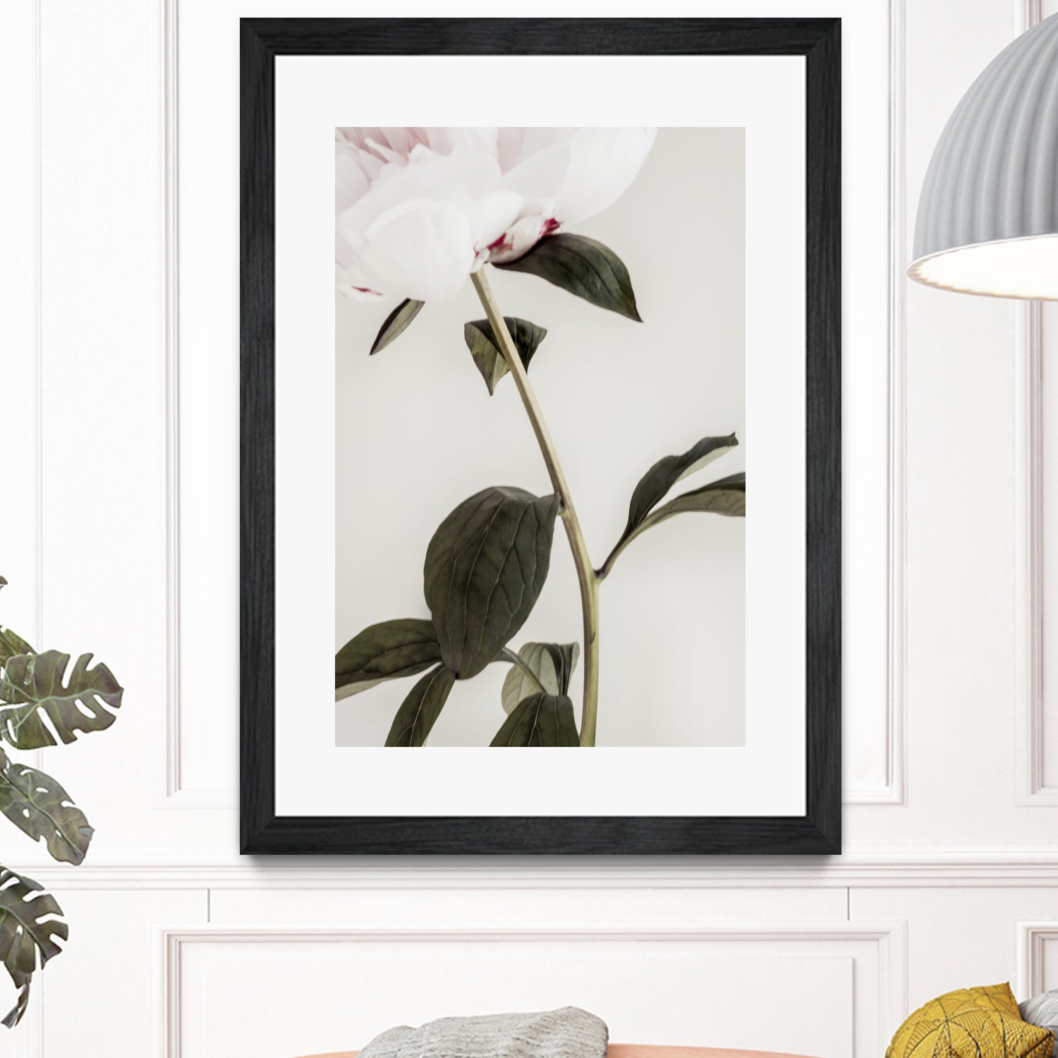 Peony 09 by Pictufy on GIANT ART - still life flower