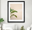 Cannes Banana Plant by Raisa on GIANT ART - photography banana