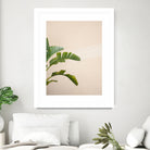 Cannes Banana Plant by Raisa on GIANT ART - photography banana