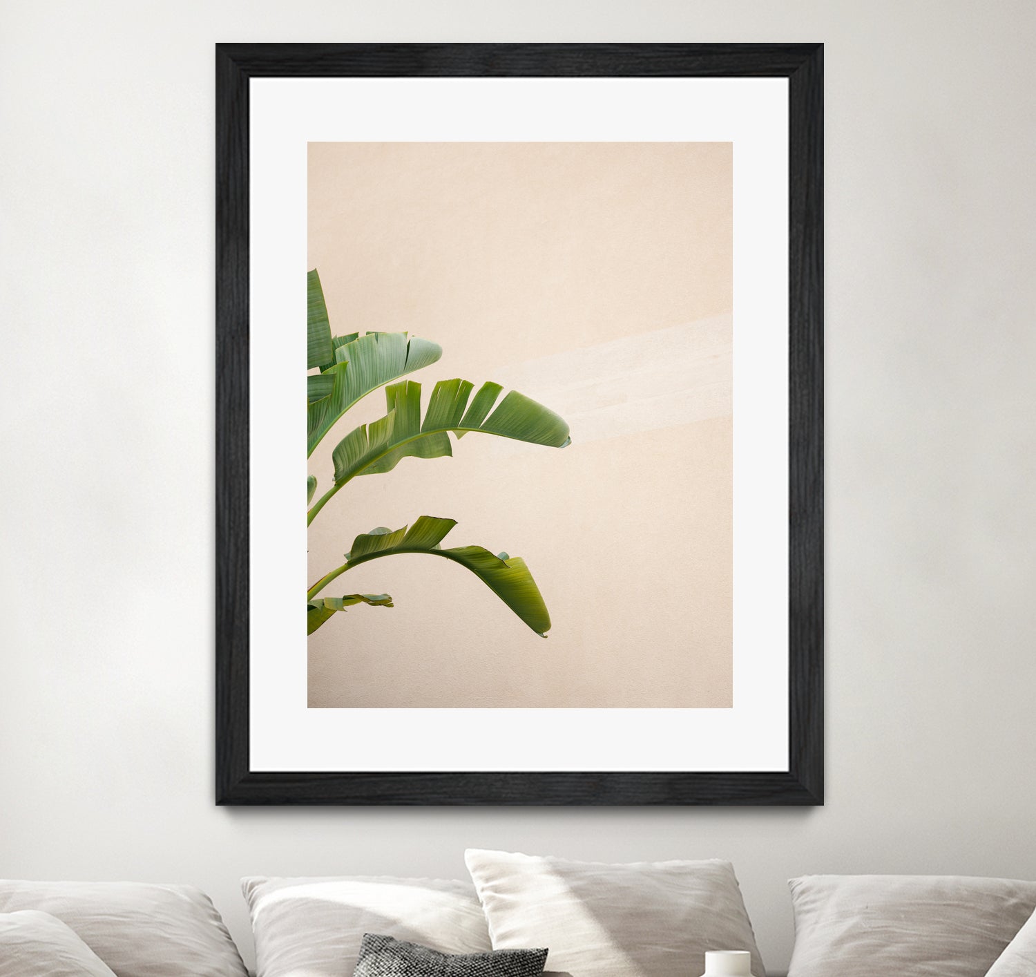 Cannes Banana Plant by Raisa on GIANT ART - photography banana