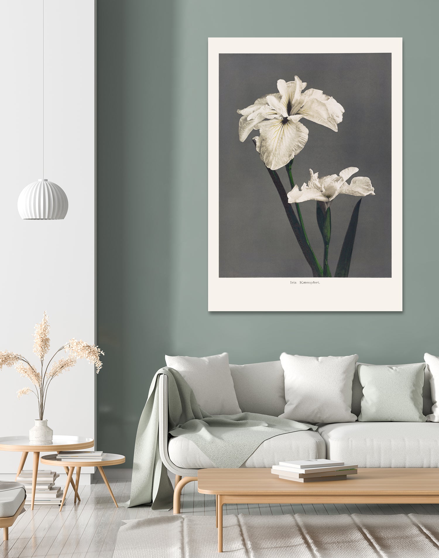 Iris KAbmpferi by Pictufy on GIANT ART - 