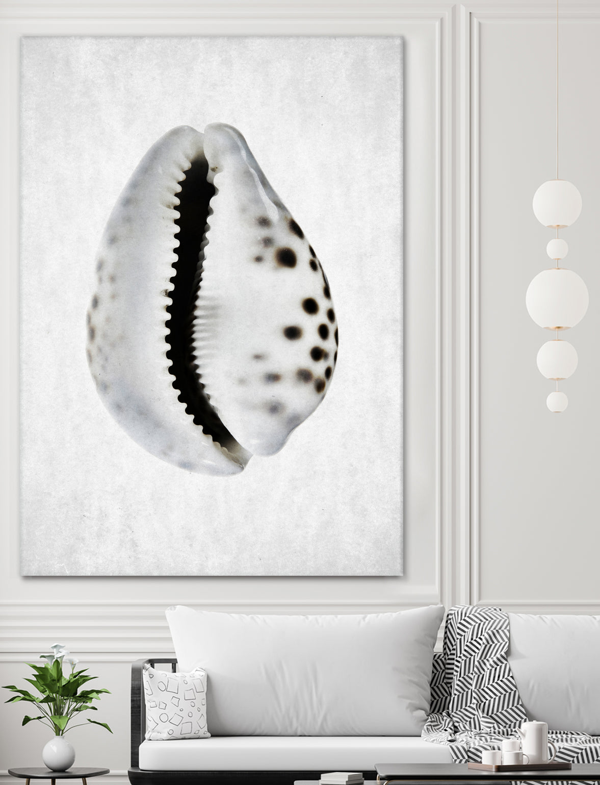 Spring Tide by Shot by Clint on GIANT ART - macro seashell art