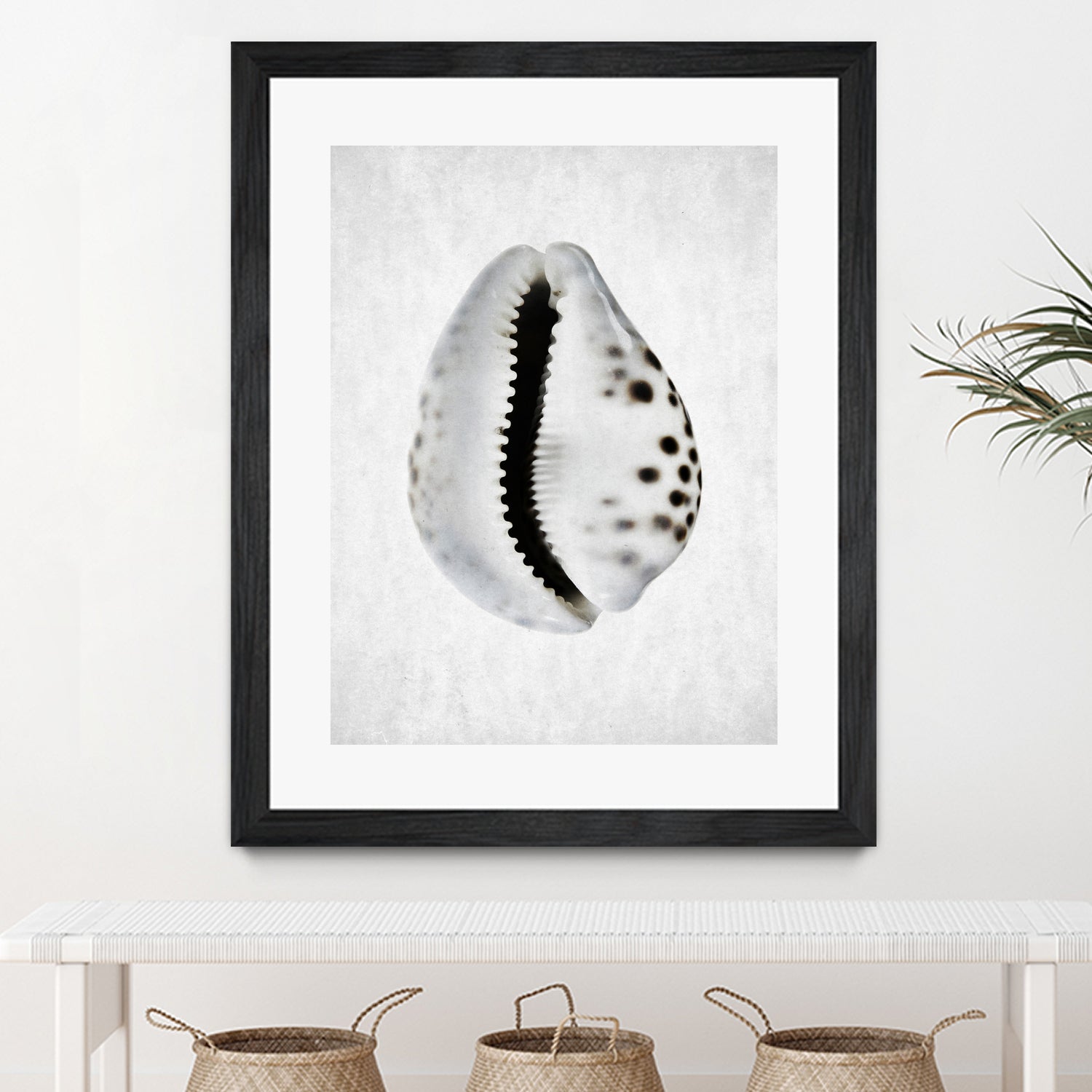 Spring Tide by Shot by Clint on GIANT ART - macro seashell art