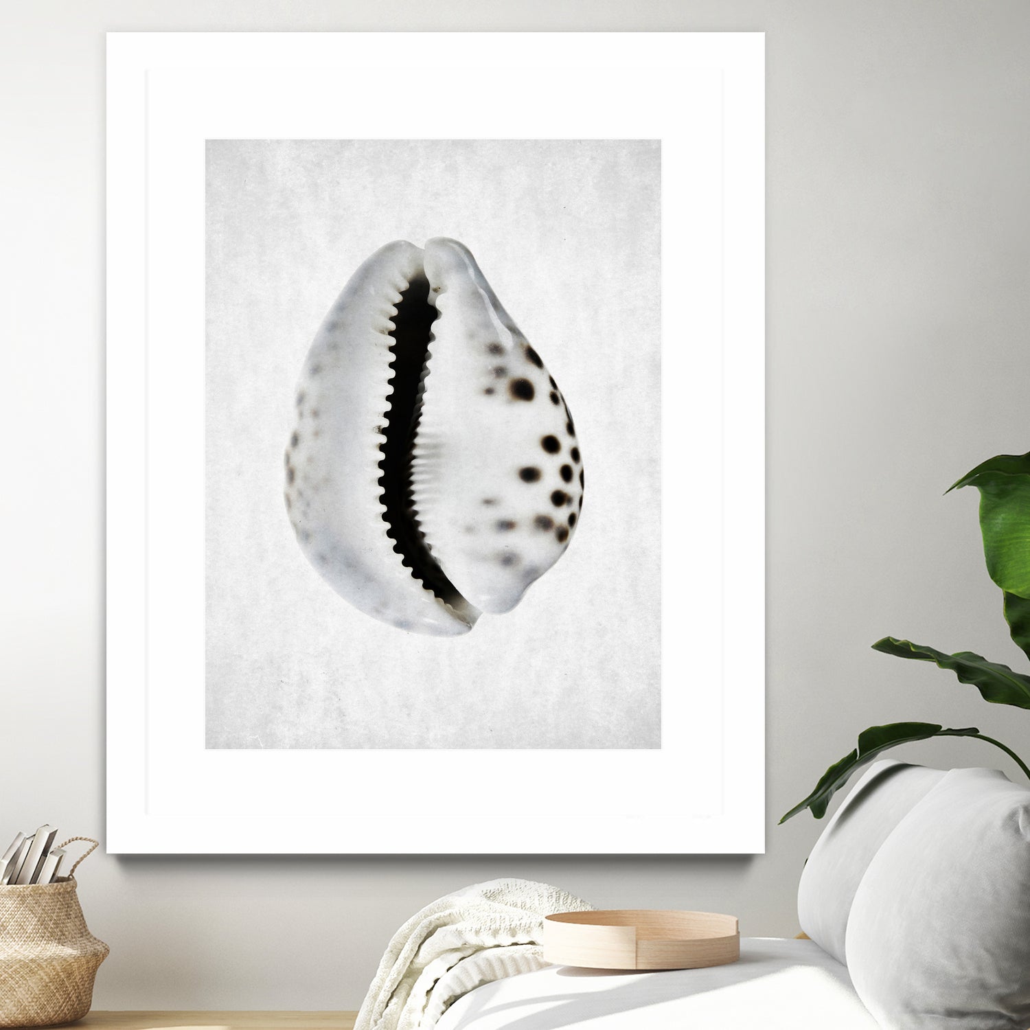 Spring Tide by Shot by Clint on GIANT ART - macro seashell art