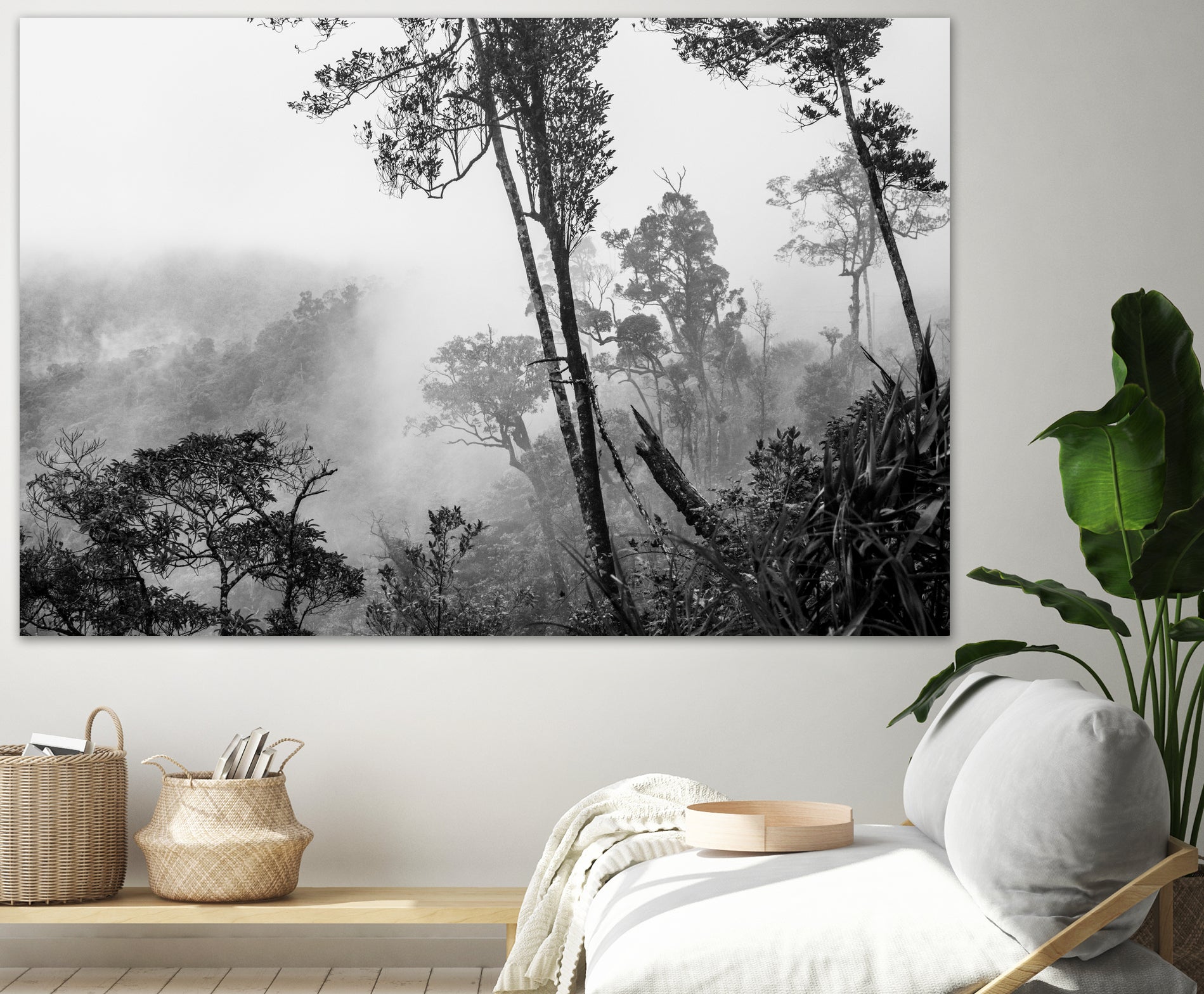 Trees in misty forest by Photolovers on GIANT ART - photograhy forest