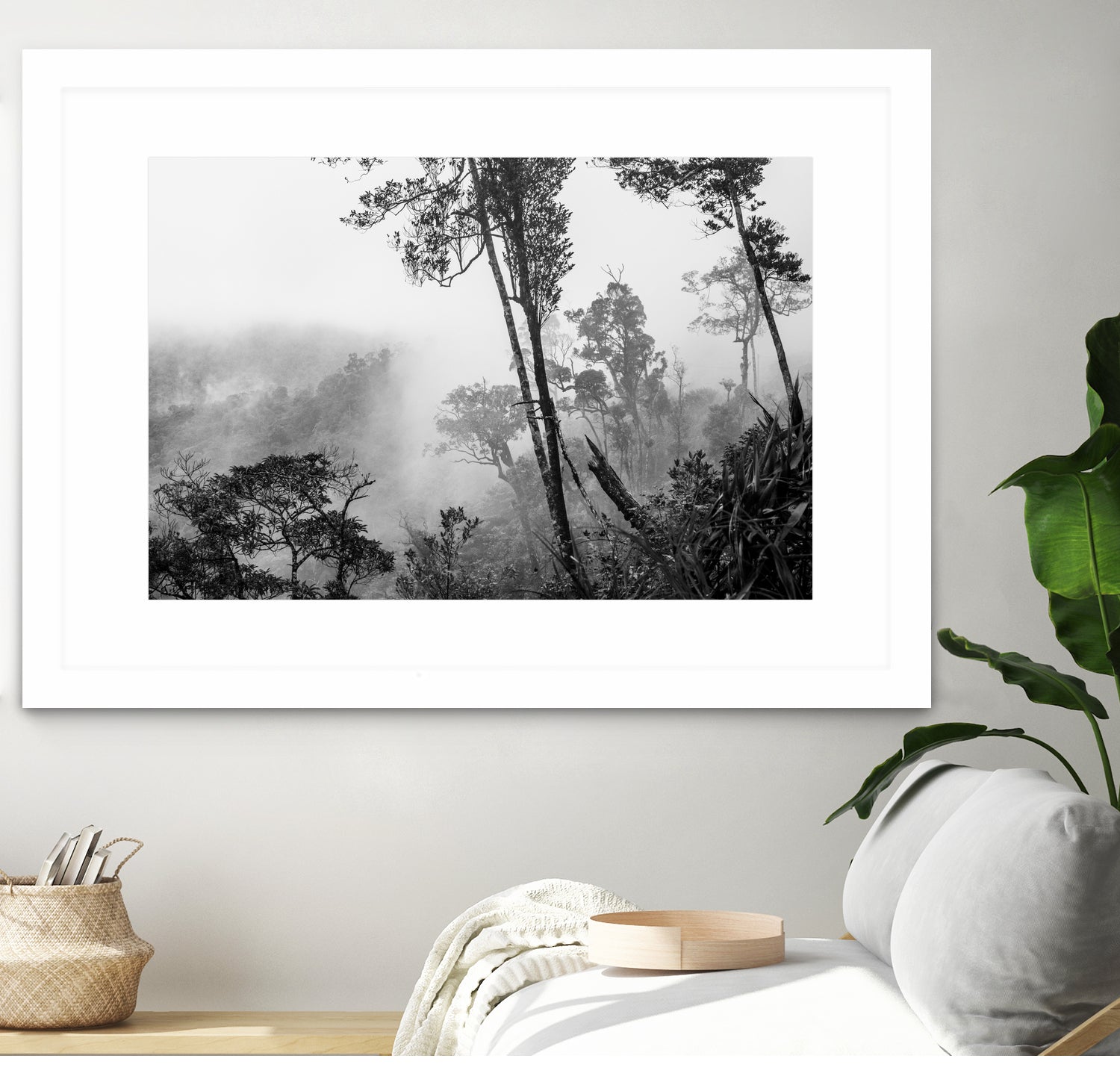 Trees in misty forest by Photolovers on GIANT ART - photograhy forest