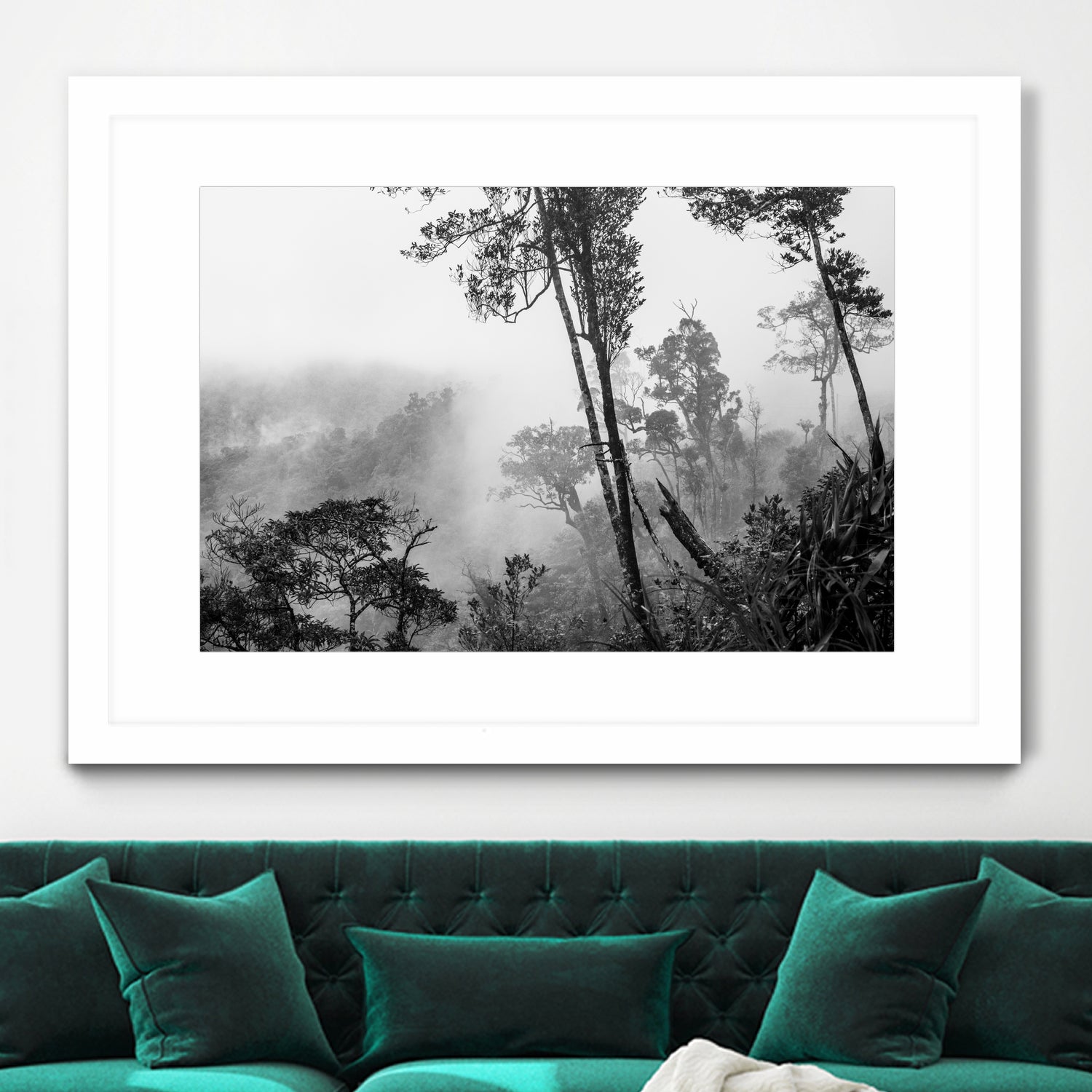 Trees in misty forest by Photolovers on GIANT ART - photograhy forest