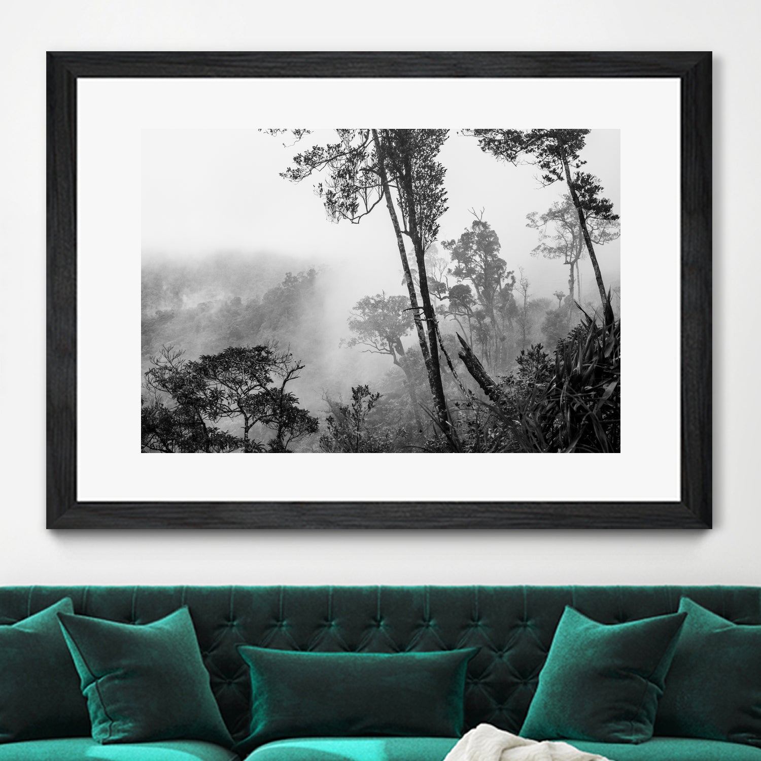 Trees in misty forest by Photolovers on GIANT ART - photograhy forest