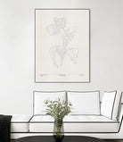 In Tulips (blue) by Gabriella Roberg on GIANT ART - line art gabriella roberg