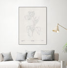 In Tulips (blue) by Gabriella Roberg on GIANT ART - line art gabriella roberg