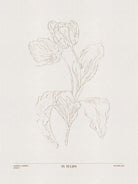In Tulips (brown) by Gabriella Roberg on GIANT ART - line art gabriella roberg