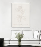 In Tulips (brown) by Gabriella Roberg on GIANT ART - line art gabriella roberg