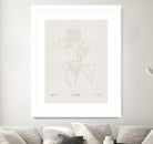 In Tulips (brown) by Gabriella Roberg on GIANT ART - line art gabriella roberg
