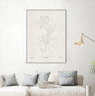 In Tulips (brown) by Gabriella Roberg on GIANT ART - line art gabriella roberg