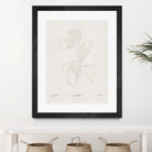 In Tulips (brown) by Gabriella Roberg on GIANT ART - line art gabriella roberg