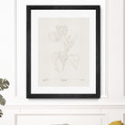 In Tulips (brown) by Gabriella Roberg on GIANT ART - line art gabriella roberg