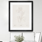 In Tulips (brown) by Gabriella Roberg on GIANT ART - line art gabriella roberg