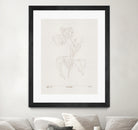 In Tulips (brown) by Gabriella Roberg on GIANT ART - line art gabriella roberg