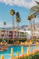 Palm Springs Saguaro by Bethany on GIANT ART - bleu botanical px2758276