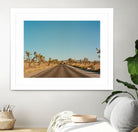 Joshua Tree Road by Bethany Young on GIANT ART - landscape usa