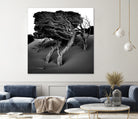 Windswept Tree by Injidup Western Australia on GIANT ART - black and white mark