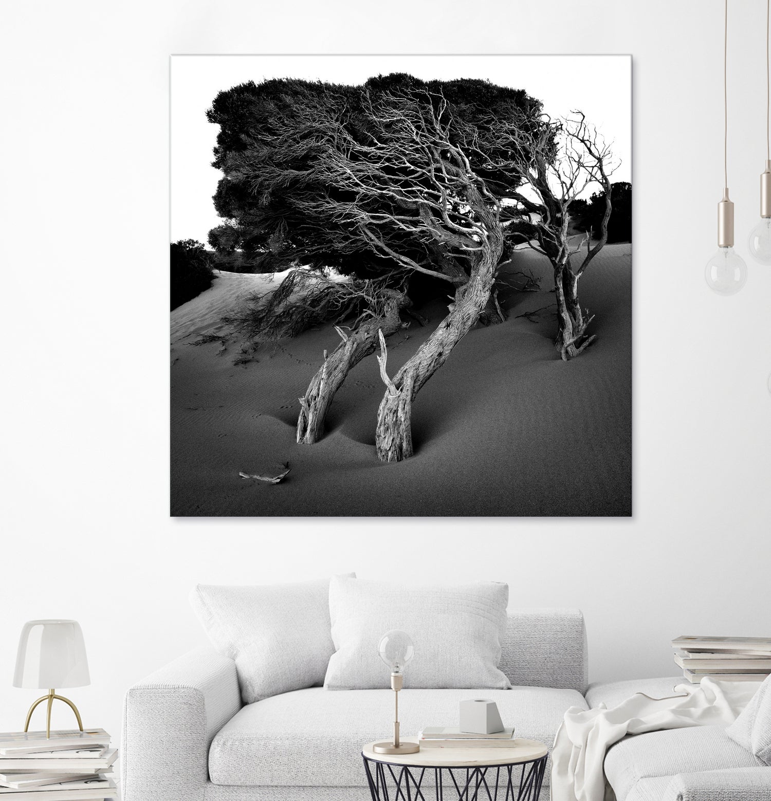 Windswept Tree by Injidup Western Australia on GIANT ART - black and white mark