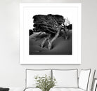 Windswept Tree by Injidup Western Australia on GIANT ART - black and white mark